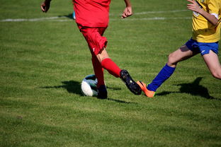 开云体育app-体育文化节活动预告，体育文化节活动流程