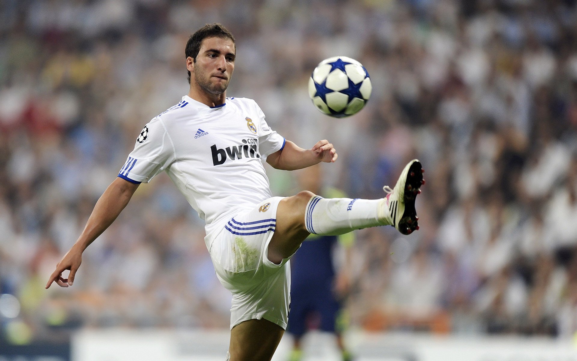 开运体育-新西兰橄榄球的市场化发展吸引大批投资者，新西兰橄榄球规则